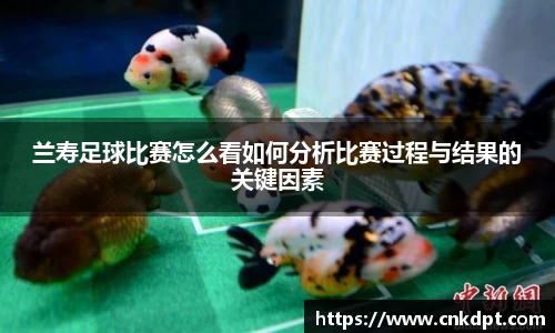 兰寿足球比赛怎么看如何分析比赛过程与结果的关键因素