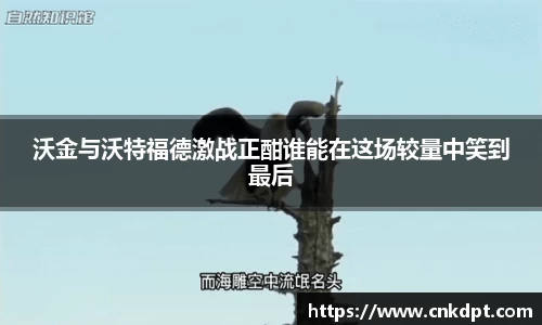 一竞技竞猜